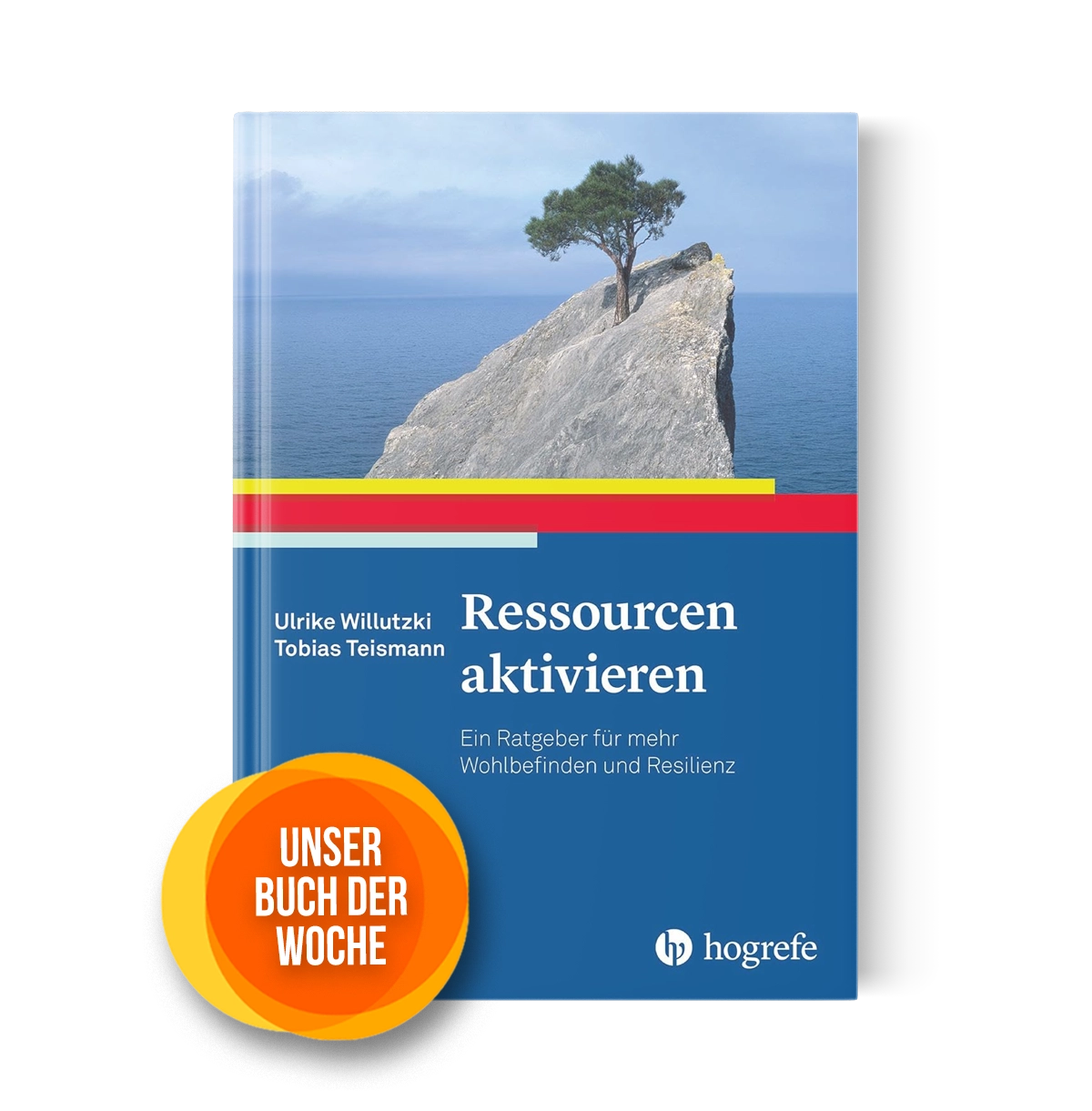 Buchvorstellung Ressourcen aktivieren Buchvorstellung Ressourcen aktivieren